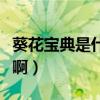 葵花寶典是什么意思啊（葵花寶典是什么意思啊）