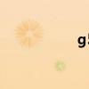 g5（關于g5的介紹）