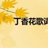 丁香花歌詞（關于丁香花歌詞的介紹）
