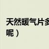 天然暖氣片多少錢（超導暖氣片的價格是多少呢）