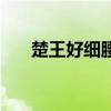 楚王好細腰（關于楚王好細腰的介紹）