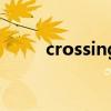 crossing（關于crossing的介紹）