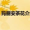 瑪麗安茶花介紹及圖片（瑪麗安茶花是什么）