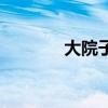 大院子弟電視劇（大院兒女）