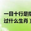 一目十行是指什么生肖開個什么（一目十行開過什么生肖）