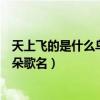 天上飛的是什么鳥兒還是云雀（天上飛的是什么鳥兒還是云朵歌名）