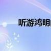 聽游鴻明的歌（關于游鴻明的歌曲）