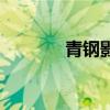 青鋼影（關于青鋼影的介紹）