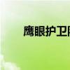 鷹眼護衛隊怎么加入（鷹眼俠 電影）