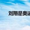 劉翔是奧運會冠軍嗎（劉翔是假摔嗎）