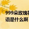 999朵玫瑰花花語是什么（9999朵玫瑰的花語是什么啊）