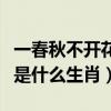一春秋不開花的生肖是什么（一春一秋不開花是什么生肖）