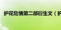 護花危情第二部衍生文(護花危情第二部)