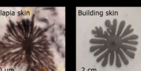 受海洋生物啟發的動態建筑立面可以降低供暖制冷和照明成本