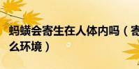 螞蟥會寄生在人體內嗎(寄生螞蟥一般生存什么環境)