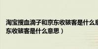 淘寶搜血滴子和京東收駭客是什么意思(淘寶搜血滴子和京東收駭客是什么意思)