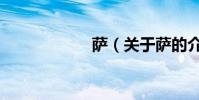 薩(關于薩的介紹)