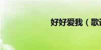 好好愛我(歌詞)