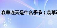 衰草連天是什么季節(衰草連天是什么意思)