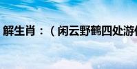 解生肖:(閑云野鶴四處游何日盼得君歸來)