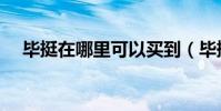 畢挺在哪里可以買到(畢挺效果怎么樣)