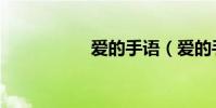 愛的手語(愛的手語)