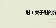 肘(關于肘的介紹)