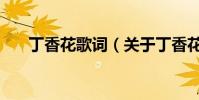 丁香花歌詞(關于丁香花歌詞的介紹)