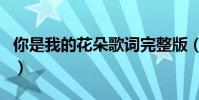 你是我的花朵歌詞完整版(你是我的花朵歌詞)