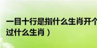 一目十行是指什么生肖開個什么(一目十行開過什么生肖)