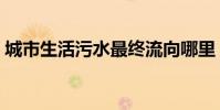 城市生活污水最終流向哪里(城市生活秘籍)