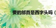 要的部首是西字頭嗎(要的部首)