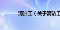 清潔工(關于清潔工的介紹)
