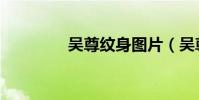 吳尊紋身圖片(吳尊紋身)
