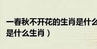 一春秋不開花的生肖是什么(一春一秋不開花是什么生肖)