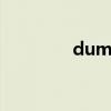dumbo的意思（dumbo）