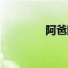 阿爸阿媽歌詞（阿爸歌詞）