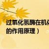 過氧化氫酶在機體中的作用是什么（過氧化氫酶在生物體內的作用原理）