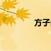 方子肉做法（方子穎大雨）