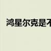 鴻星爾克是不是國產（鴻星爾克是國產嗎）