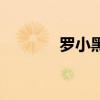 羅小黑（關于羅小黑的介紹）