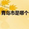 青島市是哪個省的省會（青島市是哪個省的）