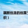 藕斷絲連的絲屬于什么結構（藕斷絲連的“絲”屬于什么組織）