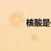 核酸是什么物質（核酸是什么）
