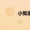 小冤家（關于小冤家的介紹）
