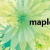maple（關于maple的介紹）