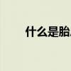 什么是胎息呼吸法（什么是胎毛章）