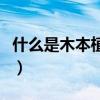 什么是木本植物和草本植物（什么是木桶效應）