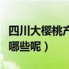四川大櫻桃產地在哪里（四川大櫻桃的簡介有哪些呢）