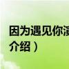 因為遇見你演員表（關于因為遇見你演員表的介紹）